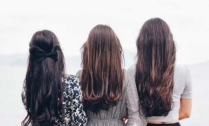 Foto de Capa: Pixabay