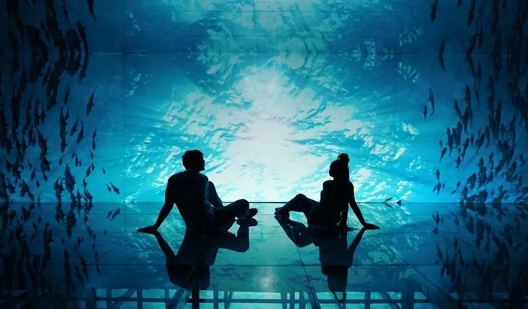 Mar de Espelhos / Foto de Capa: Divulgação AquaRio 