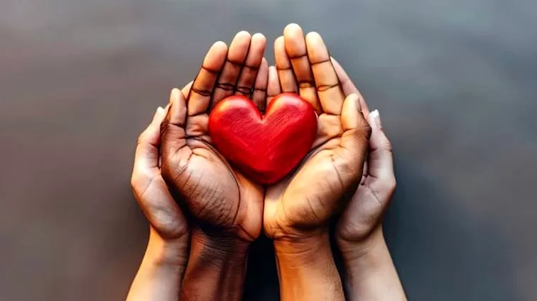 Foto de Capa: Freepik 