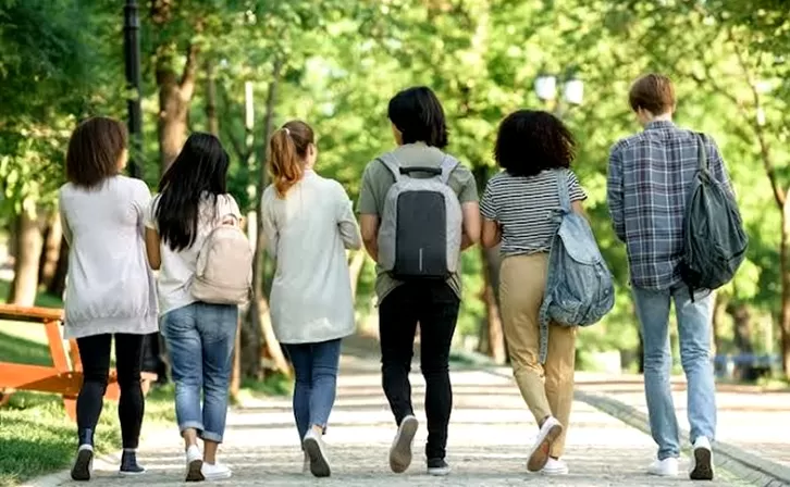 Foto de Capa: Freepik 