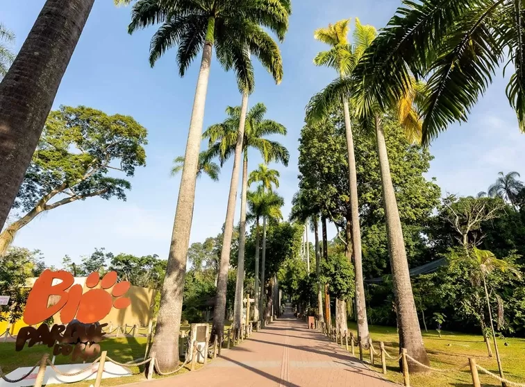 Foto de Capa: Divulgação / BioParque do Rio