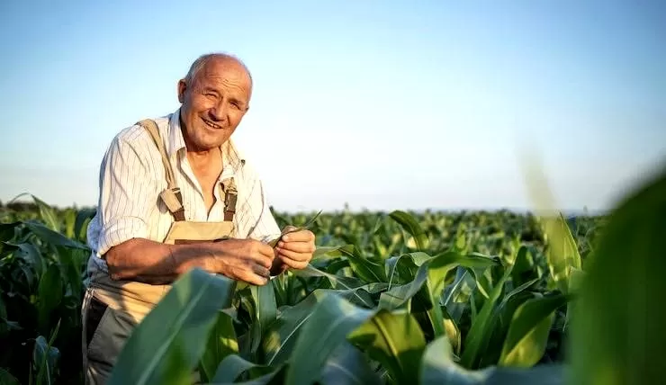 Foto de Capa: Freepik 