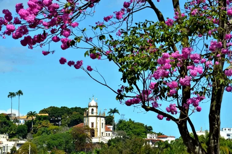 Foto de Capa: Divulgação 