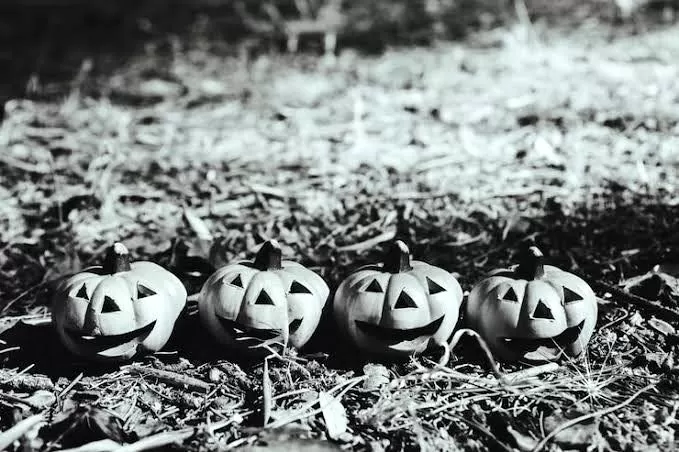  Homenagem ao Halloween ( Dia 31 de Outubro ) - Foto de Capa: Freepik 