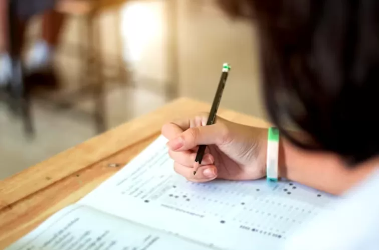 Foto de Capa: Freepick 