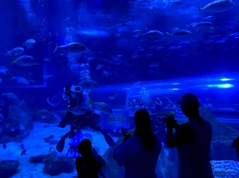 Foto de Capa: Divulgação / Natan Nunes