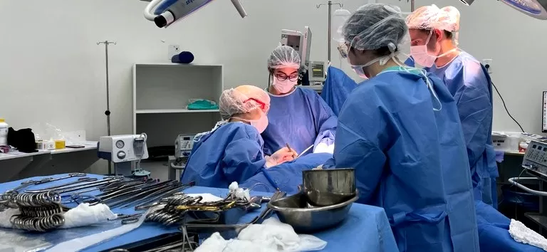 Foto de Capa: Grax Medicina / MS