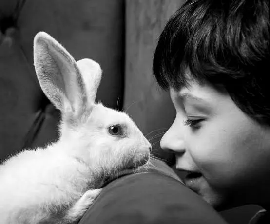 Homenagem à Páscoa - Foto de Capa: Divulgação / Internet 
