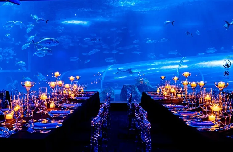 Foto de Capa: Divulgação / AquaRio 