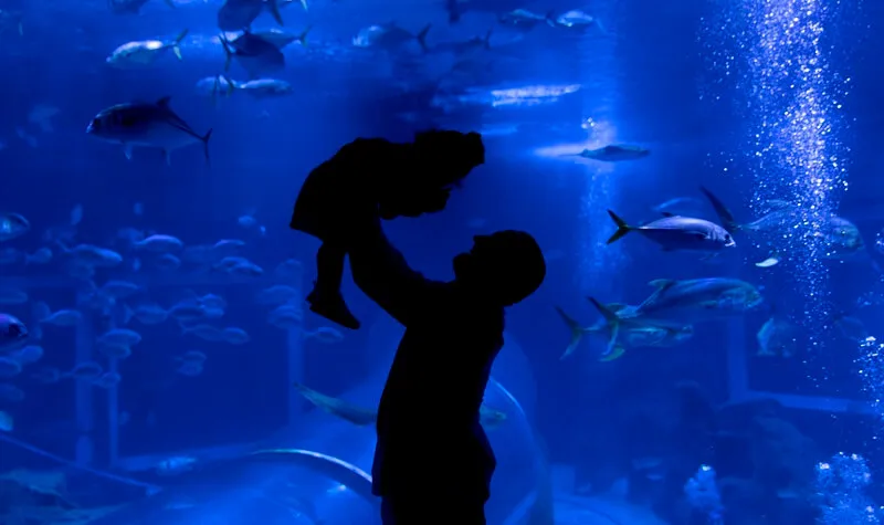 Foto de Capa: Divulgação / AquaRio 