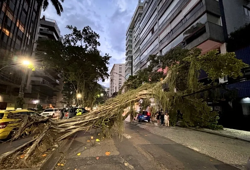 Foto de Capa: André Sarmento