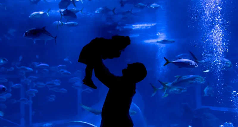 Foto de Capa: Divulgação / AquaRio 