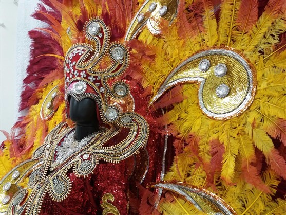 Fantasia de destaque usada por Vilma Nascimento é uma das atrações da exposição - Foto: Raphael Perucci 