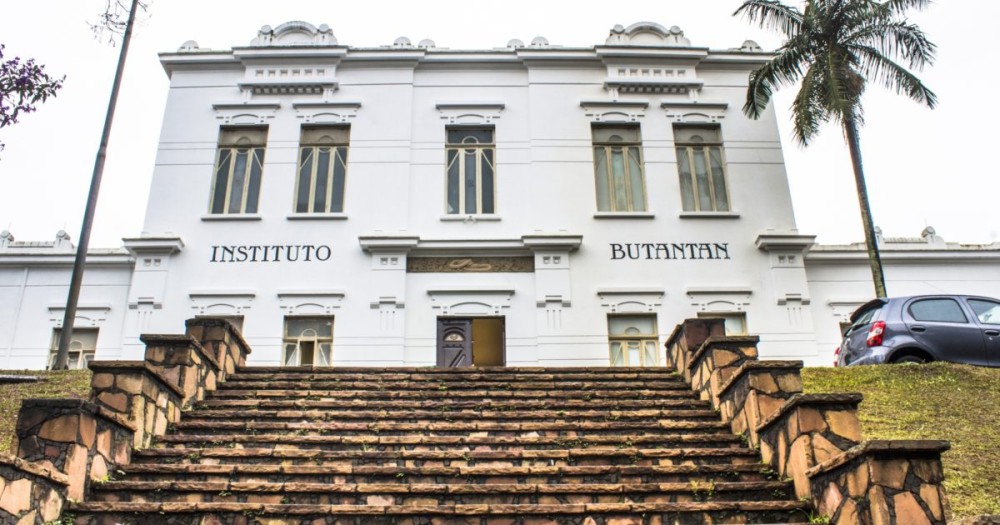 App identifica a incidência da Covid-19 na população através do monitoramento geográfico de exames e sintomas - Foto: Alf Ribeiro / Shutterstock.com