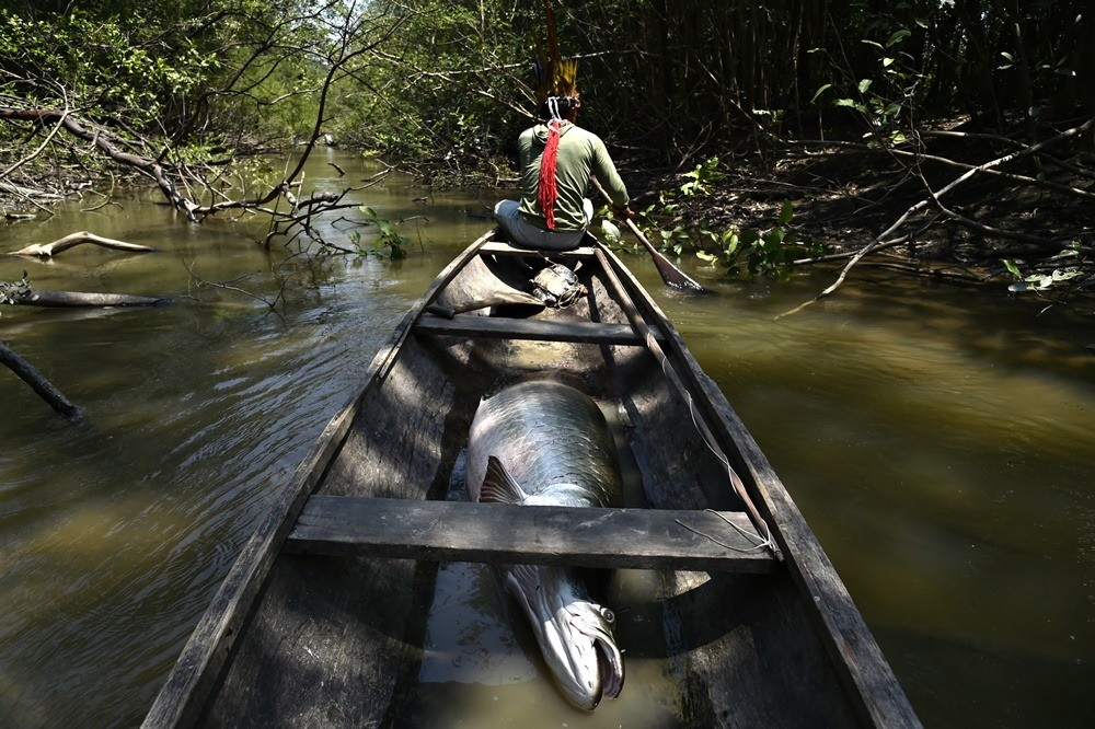 Lideranças dos povos Deni e Paumari participarão de conversa sobre o potencial da atividade para a conservação da biodiversidade - Foto: Adriano Gambarini 