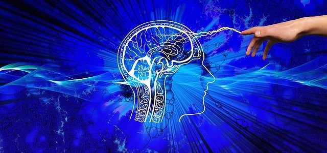 Estudo científico analisa a relação entre a fadiga e as disfunções neuronais na sociedade contemporânea - Foto: Reprodução pixabay