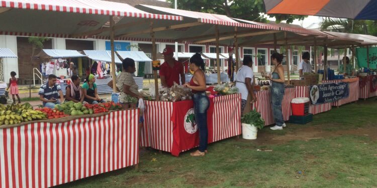 Mulheres Protagonistas na Independência brasileira ganham destaque no Festival Leopoldina Orgânica