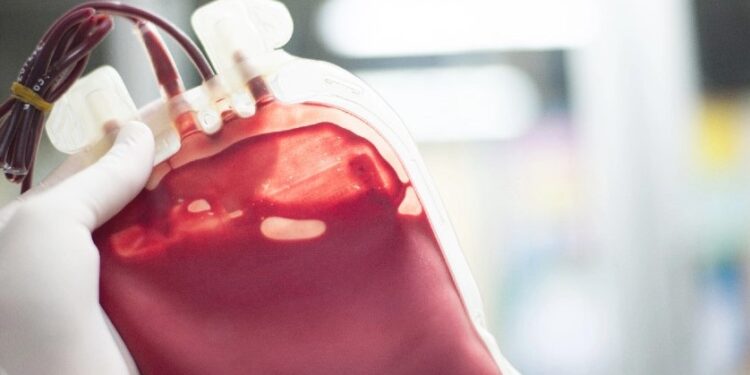 Baixo índice de doações de sangue coloca em risco transplantes, cirurgias e atendimentos de emergências